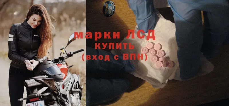 Магазины продажи наркотиков Гусев Каннабис  A-PVP  ГАШ  Cocaine 